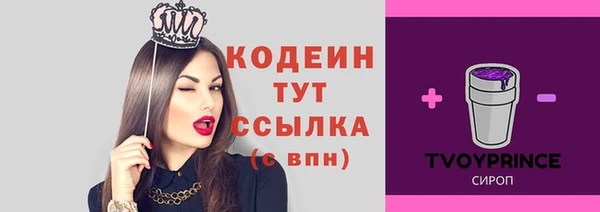 гашик Бородино