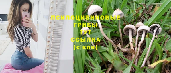 трава Бронницы