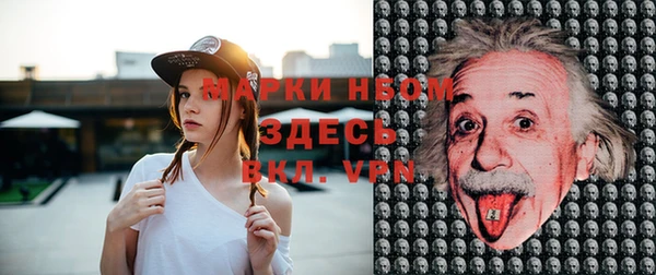 гашик Бородино