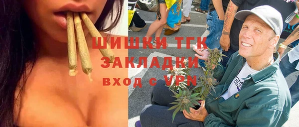 гашик Бородино