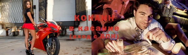 гашик Бородино